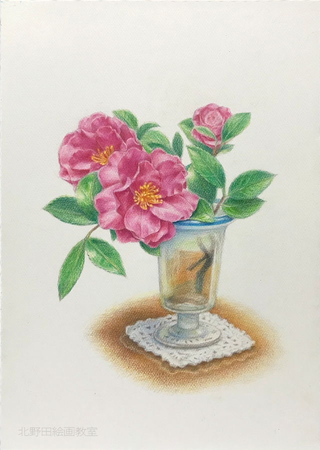 塗らずに描く、色鉛筆画の描き方 vol.1【椿の花編】🌸 | 北野田絵画教室