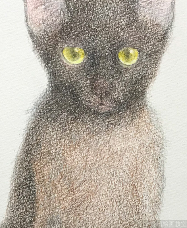 塗らずに描く色鉛筆画　講師　黒猫PRADA　6.5