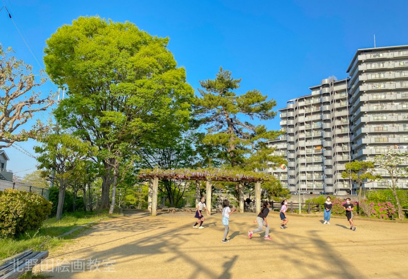 ご近所の公園（2021年春に撮影）北野田絵画教室