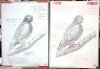 北野田絵画教室の通信レッスン・Iさん・インコ