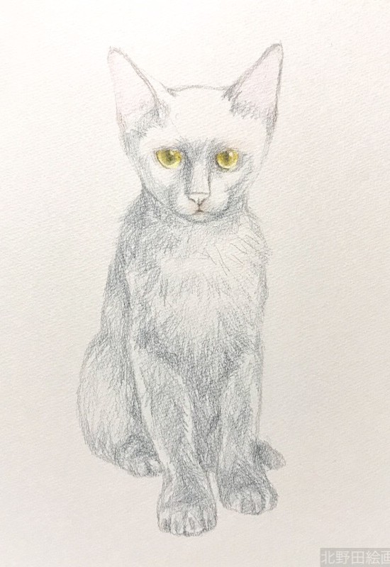 塗らずに描く色鉛筆画　講師　黒猫PRADA 2