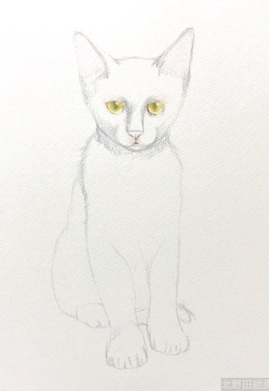 塗らずに描く色鉛筆画　講師　黒猫PRADA 1