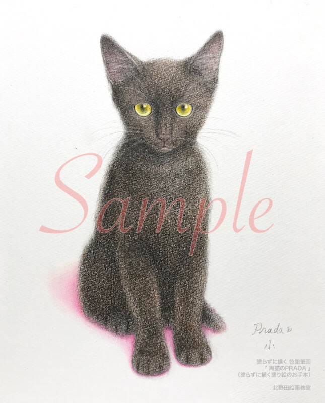 塗らずに描く色鉛筆画　塗り絵のお手本　sample