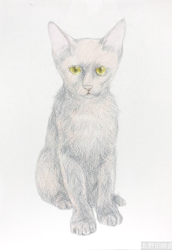 塗らずに描く色鉛筆画　講師　黒猫PRADA　3