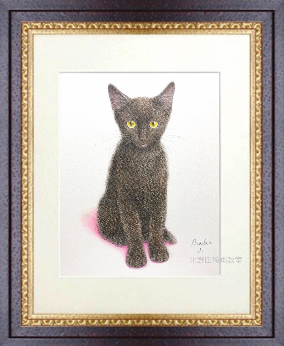 『 黒猫PRADA 』(講師・色鉛筆画・F3号)