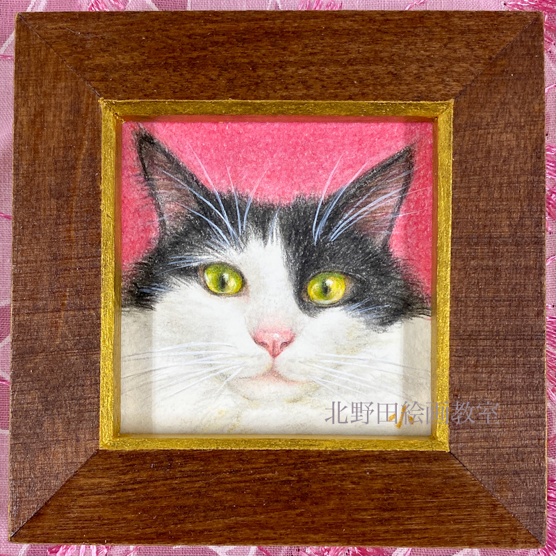 オジー君(講師・色鉛筆画 55×55㎜)