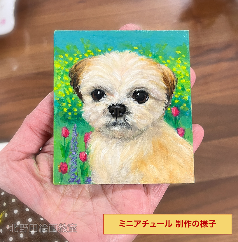 『シーズー犬のガジュマル君』（講師・油彩画・90㎜×80㎜）