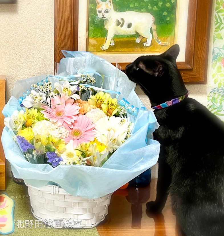 モデルのお花と愛猫