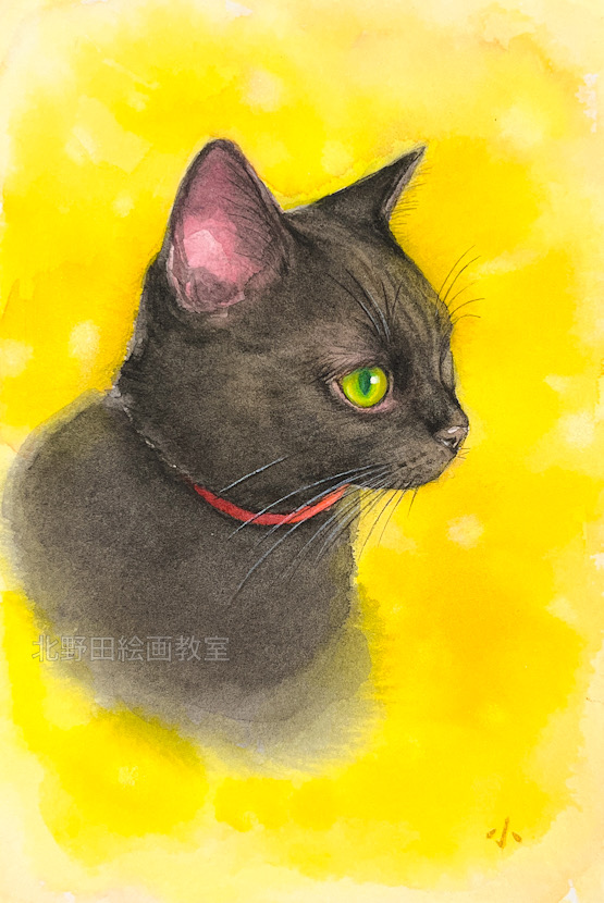 『夜一ちゃん』(講師・水彩画)