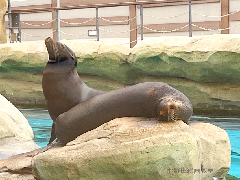 天王寺動物園
