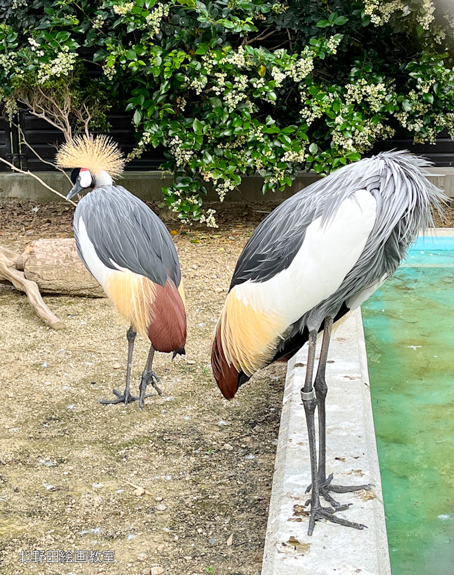 天王寺動物園