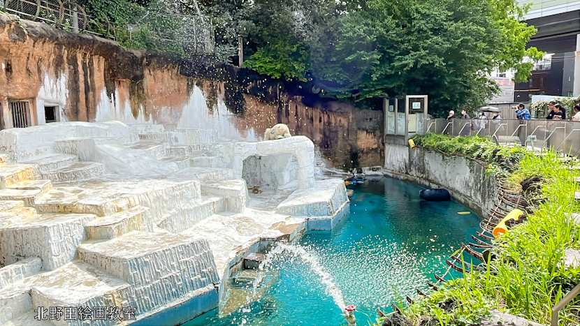 天王寺動物園 ホッキョクグマ