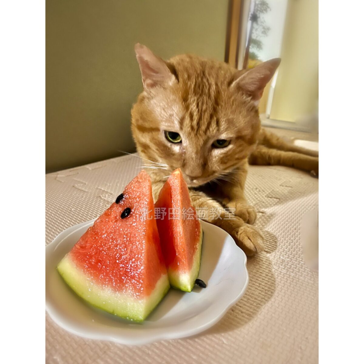 モデル(西瓜と小太郎)