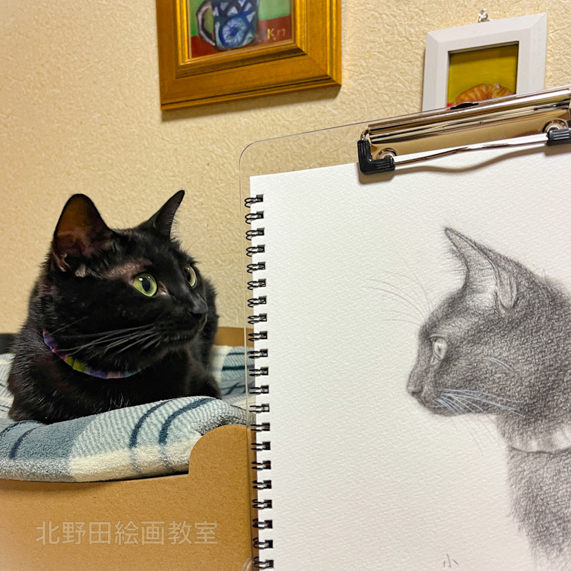 モデルのるるちゃんと作品