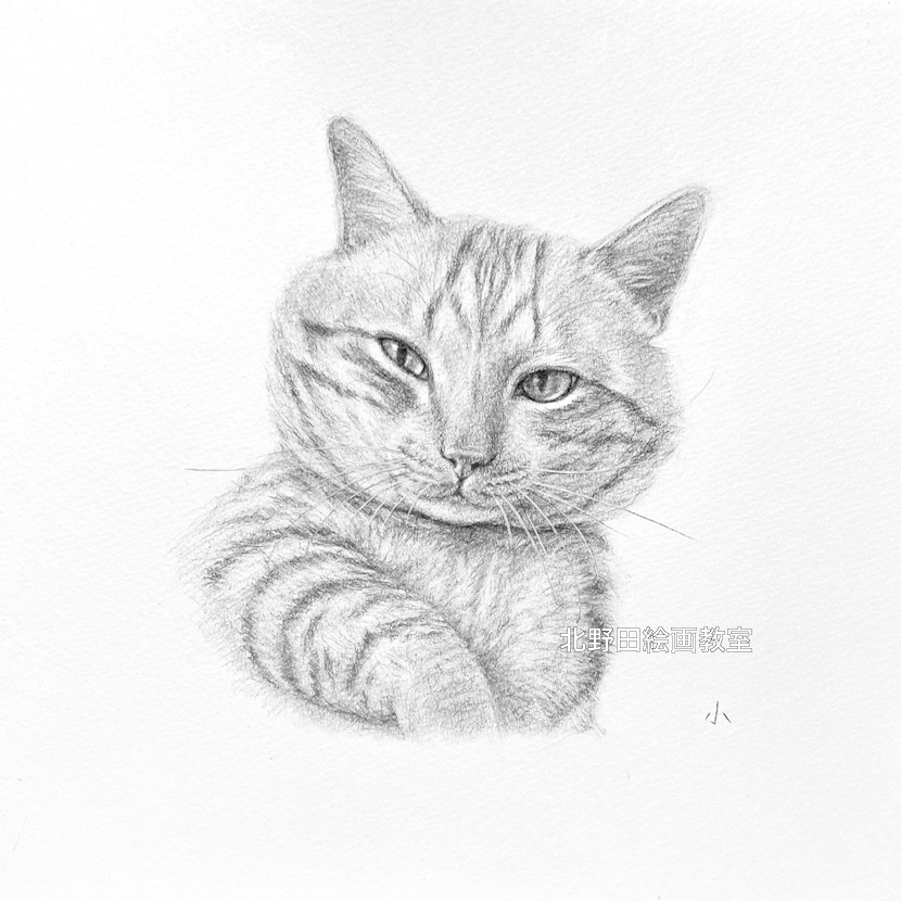 『小太郎・寝癖のついた顔』（講師・鉛筆画・21㎝×21㎝）