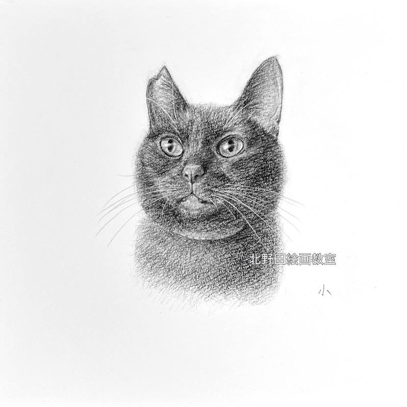 『くろちゃん』（講師・鉛筆画・21㎝×21㎝）