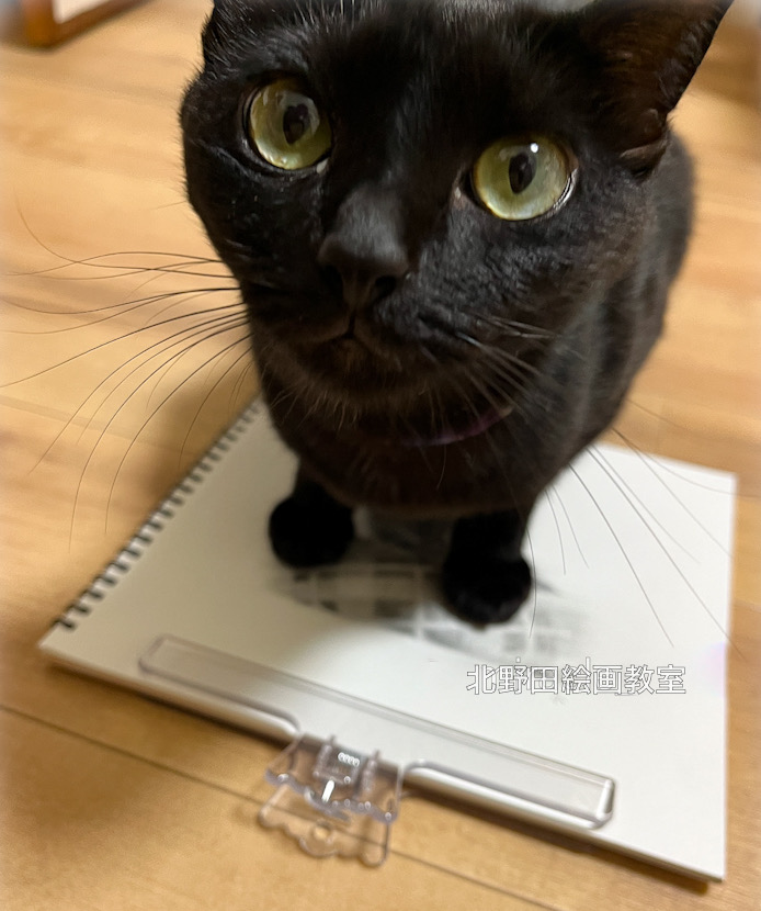 作品とるるちゃん