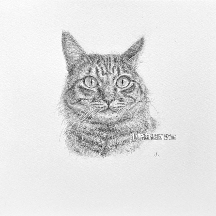 『次郎』（講師・鉛筆画・210㎜×210㎜）