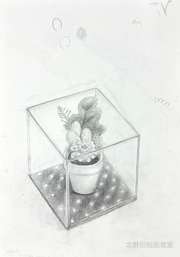 サキさん(女性30代・鉛筆デッサン)F4号