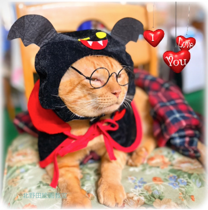 ハロウィンコスチュームの小太郎