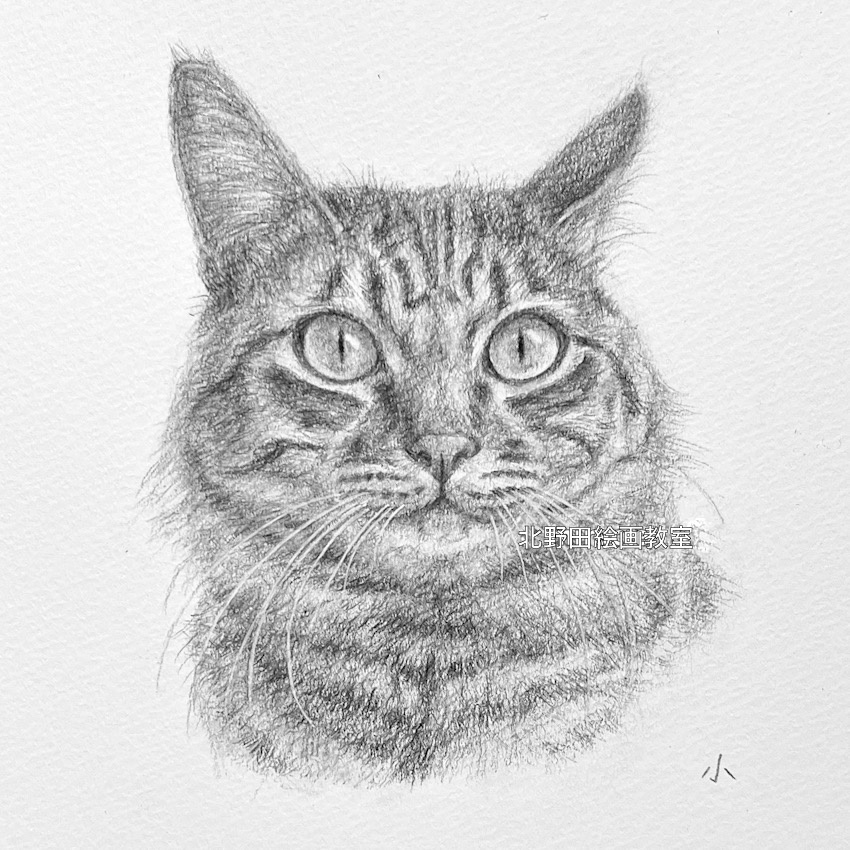 ズームアップ（講師・鉛筆画）