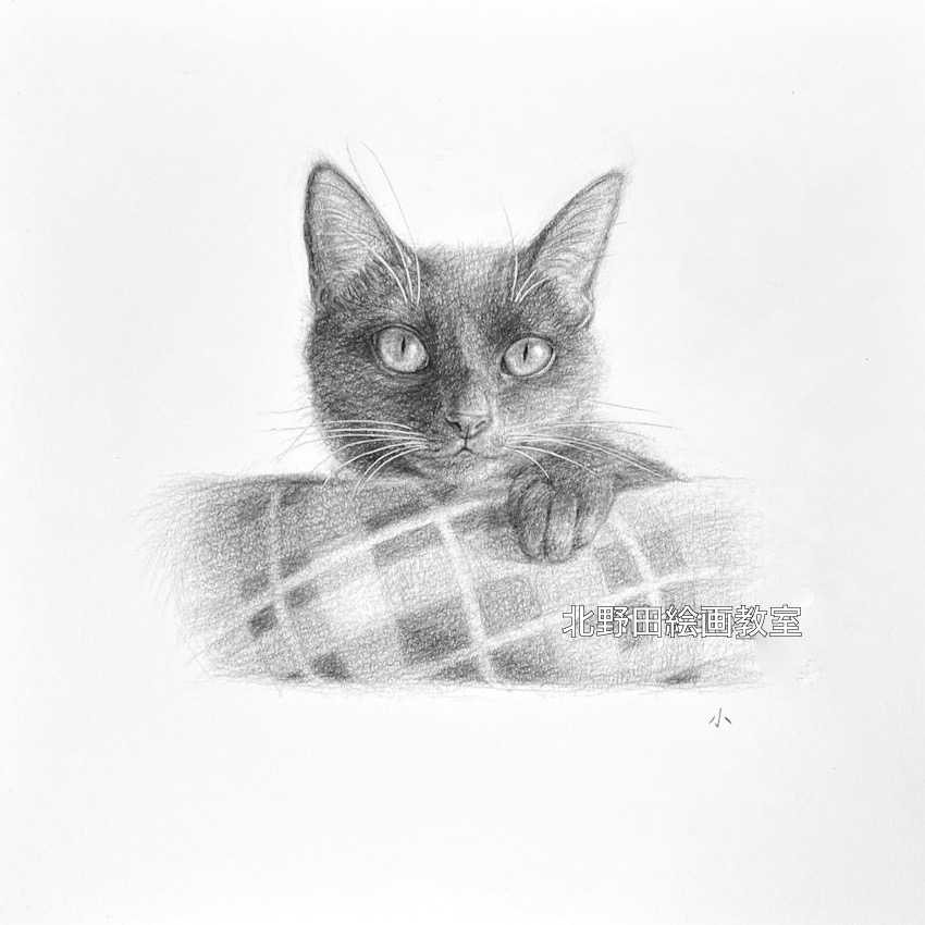 『るるちゃん』（講師・鉛筆画・210㎜×210㎜）