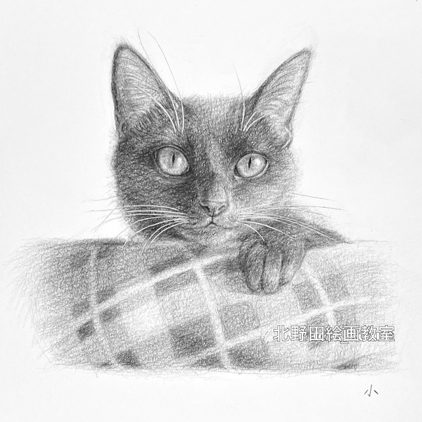 ズームアップ（講師・鉛筆画）