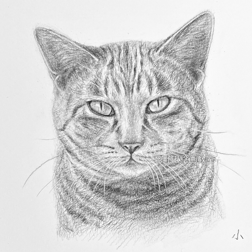 ズームアップ（講師・鉛筆画）