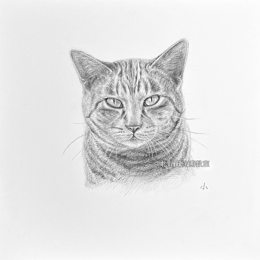 『太郎』（講師・鉛筆画・210㎜×210㎜）