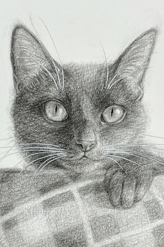 ズームアップ（講師・鉛筆画）