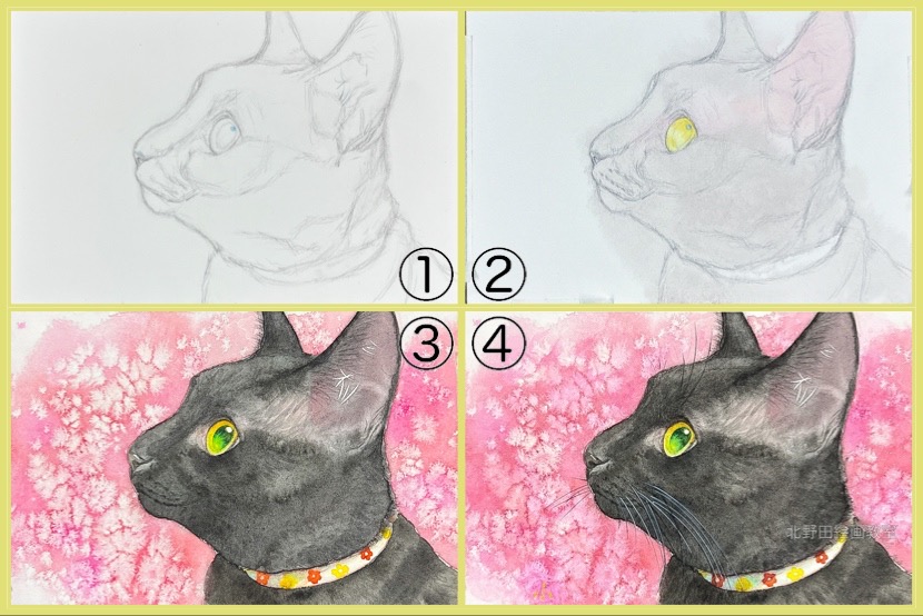 桃黒ちゃんの制作過程