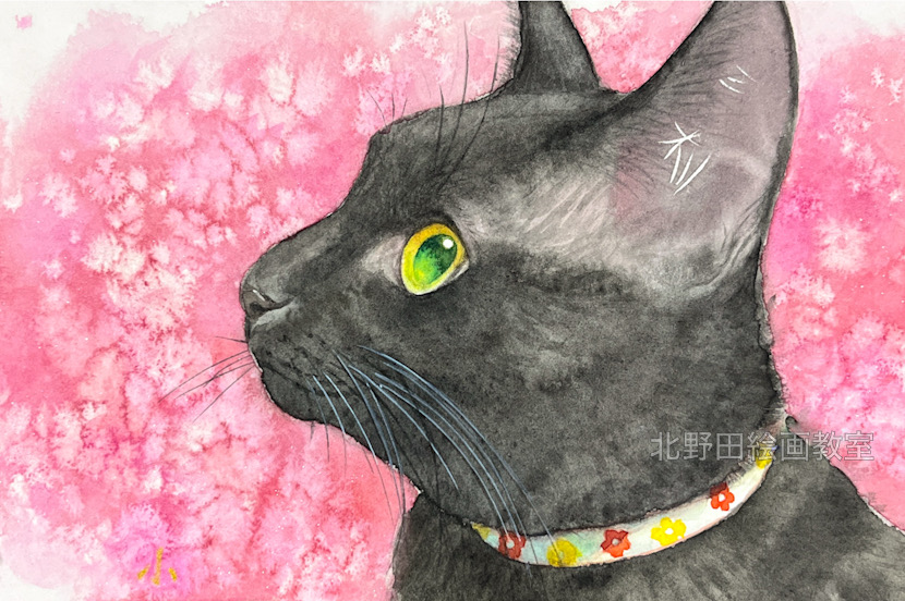 『桃黒ちゃん』（講師・水彩画・15㎝×10㎝）