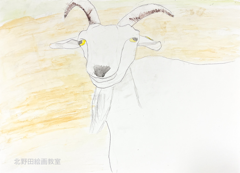 えりちゃん（小学5年生・水彩色鉛筆画）F4号