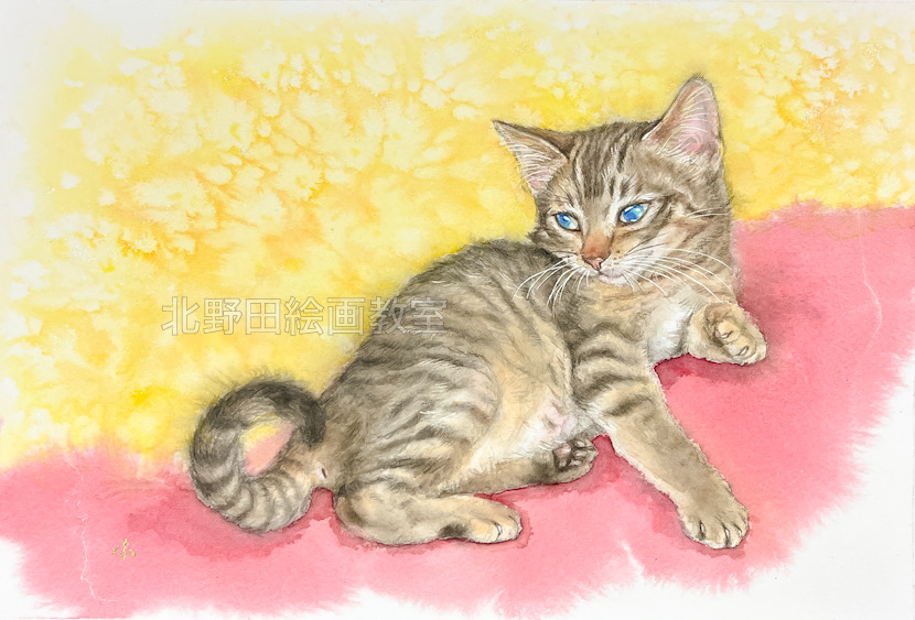 『 Sweet Kitty 』（講師・水彩画）