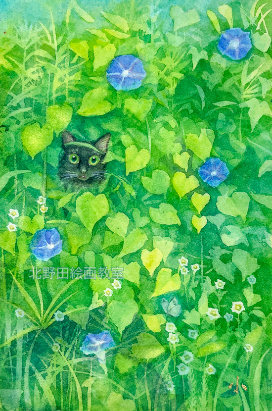 『初夏(朝顔とるる)』(講師・水彩画)