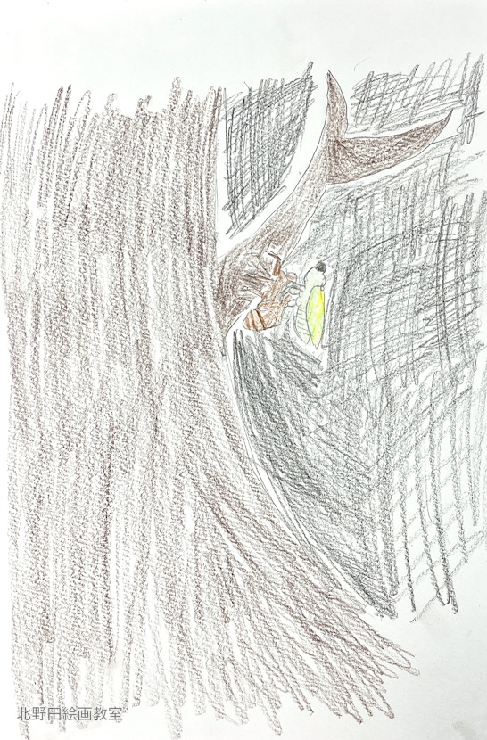 えりちゃん（小学5年生・色鉛筆画）F4号